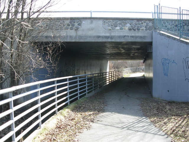 L9A-Spenard Tunnel Upstream